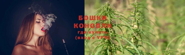 прущий лед Богданович