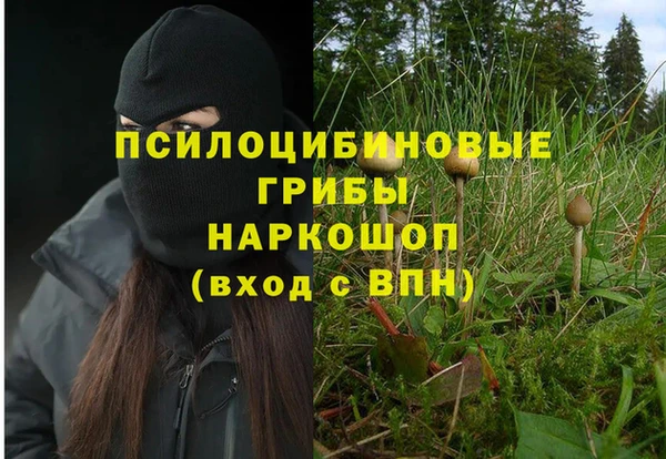 прущий лед Богданович