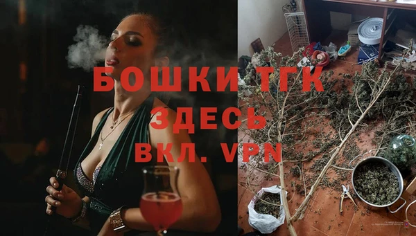 прущий лед Богданович