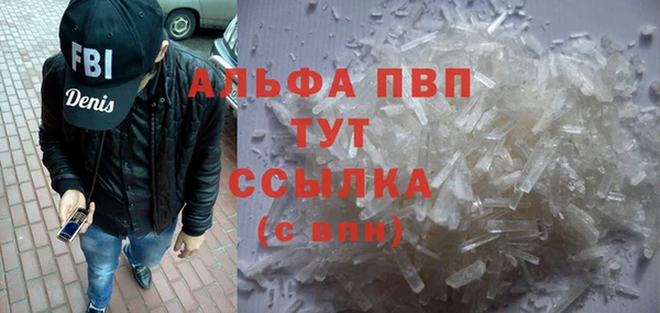 прущий лед Богданович