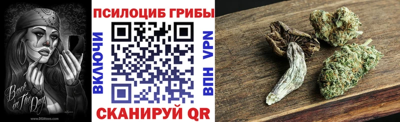 Галлюциногенные грибы Psilocybine cubensis  Маркс 